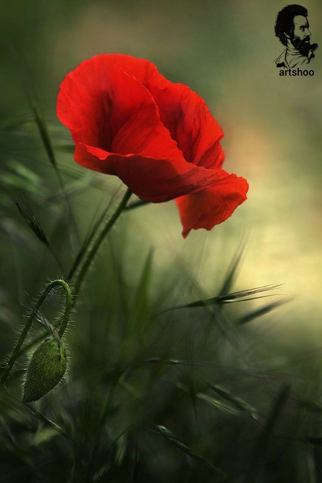 آموزش نقاشی رنگ روغن